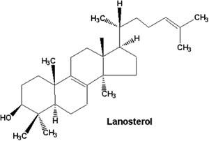 lanestorol